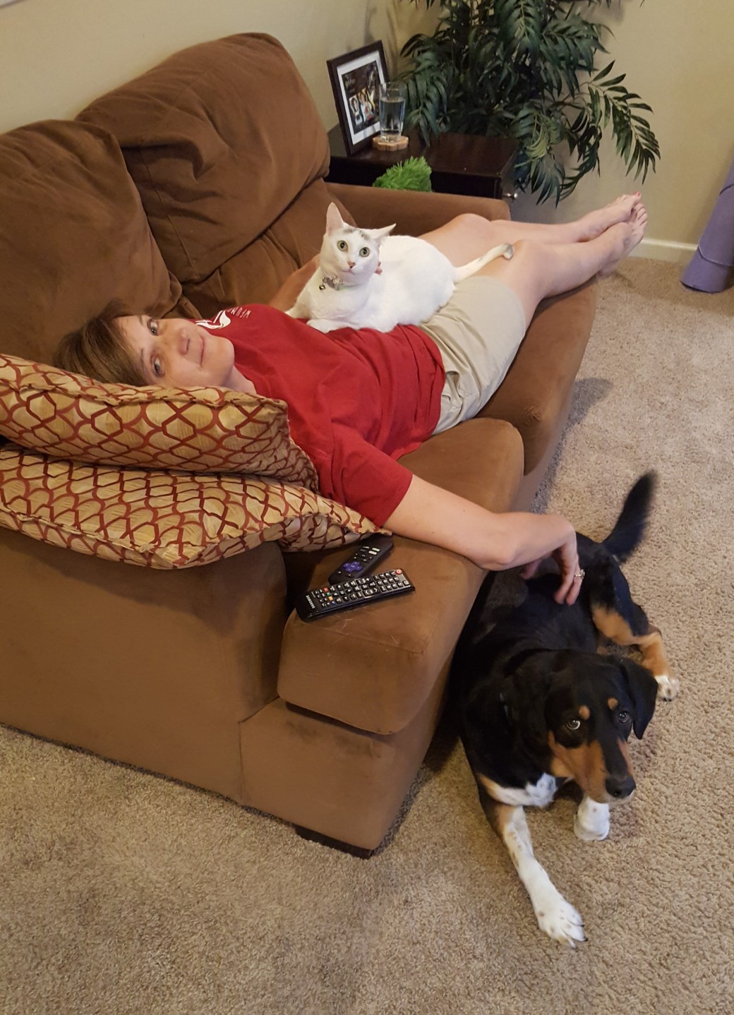 Cul-de-sac Jungle Security